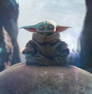 Meet your Posher, Jayden